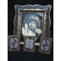 לחץ להגדלה
