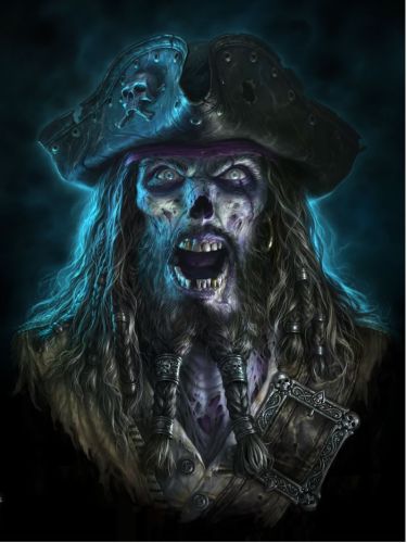 3D Picture Captain Grimbeard