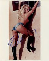 Pamela Anderson