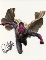 Paul Bettany from the movie THE AVENGERS (private signing)