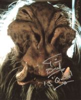 Tim Dry from the movie STAR WARS RETURN OF THE JEDI