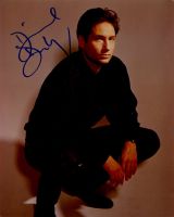 David Duchnovy - X-FILES