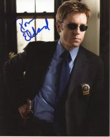 Ron Eldard from the TV series BLIND JUSTICE