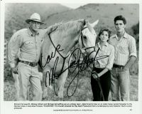 Melissa Gilbert - SYLVESTER