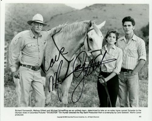 Melissa Gilbert - SYLVESTER