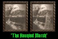 Haunted Marsh Changing Portrait 8x10
