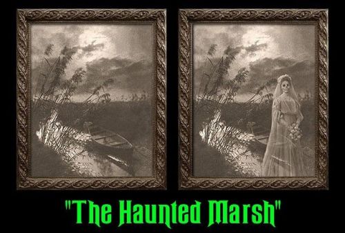 Haunted Marsh Changing Portrait 8x10