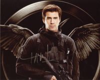 Liam Hemsworth from the movie HUNGER GAMES MOCKINGJAY PT 1