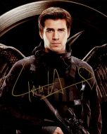 Liam Hemsworth from the movie HUNGER GAMES MOCKINGJAY PT 1 - (Earn 12 reward points on this item worth £2.27)