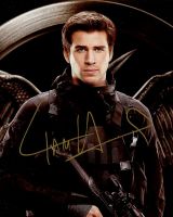 Liam Hemsworth from the movie HUNGER GAMES MOCKINGJAY PT 1