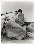 Teddy Infuhr - (1936-2007) DRIFTWOOD - (Earn 1 reward points on this item worth $0.25)