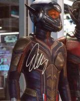 Evangeline Lilly from the movie ANT MAN AND A THE WASP