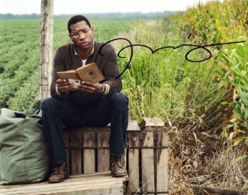Jonathan Majors from the movie LOVECRAFT COUNTRY