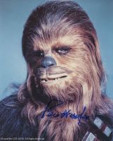 Peter Mayhew (1944-2019) from the movie STAR WARS ( private signing )