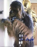 Peter Mayhew from the movie STAR WARS ( private signing )