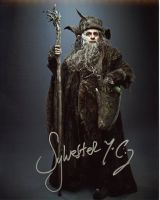 Sylvester McCoy from the movie THE HOBBIT
