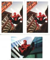 Spiderman Parker Pix Non Sport Cards