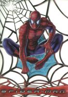 Spiderman Clear Chaser Non-Sport Card