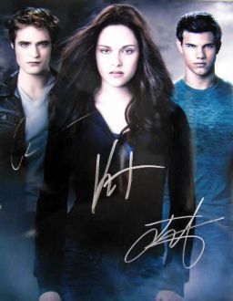 Twilight 11x14