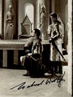Gabriel Woolf from the movie KNIGHTS OF THE ROUND TABLE